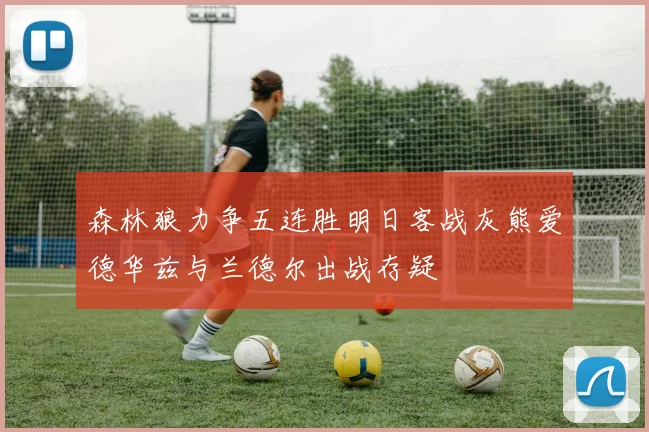 森林狼力争五连胜明日客战灰熊爱德华兹与兰德尔出战存疑