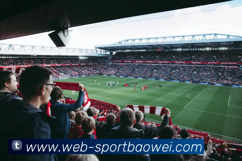 宝威体育服务体系